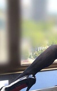 Шлюха Аннушка 27517