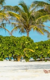 Шлюха Лика 23876